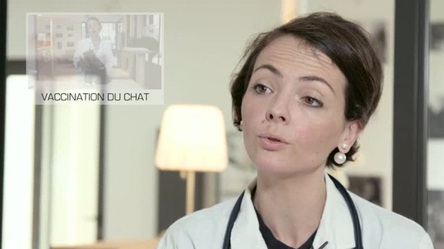 Diarrhée du chat