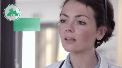 L’infection urinaire chez le chat