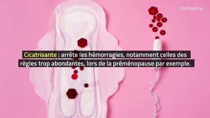 Phytothérapie - Alchémille