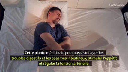 Phytothérapie - Marjolaine