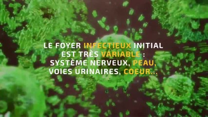 La septicémie : une urgence absolue