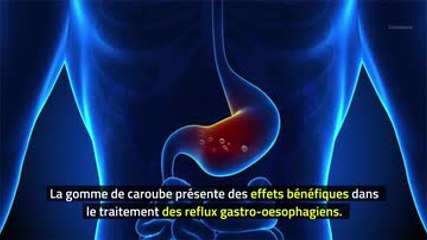 Phytothérapie - Caroubier