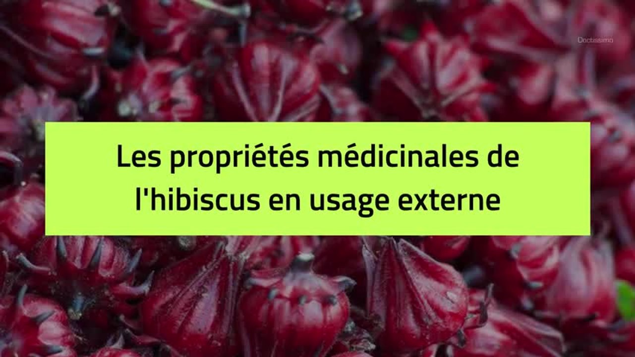 Phytothérapie - Hibiscus