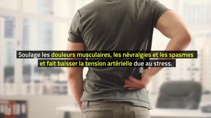 Phytothérapie - Valériane