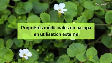 Phytothérapie - Bacopa