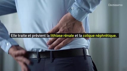 Phytothérapie - Busserole