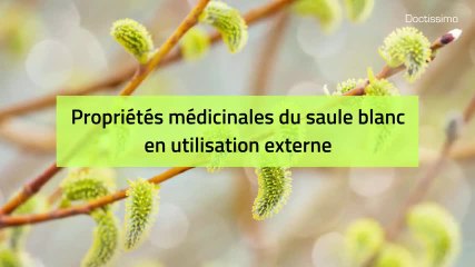 Phytothérapie - Saule blanc