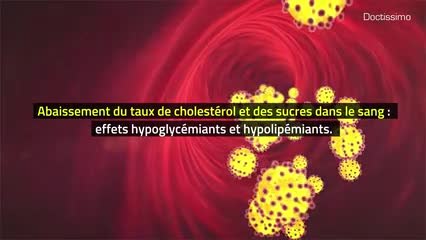 Phytothérapie - Goji