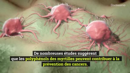 Aliments - Myrtille