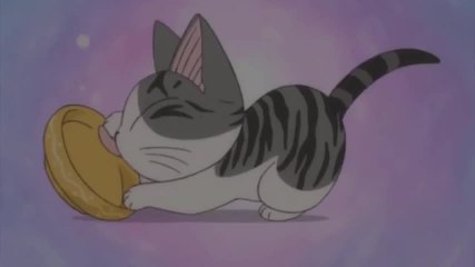 Rêve - Chat