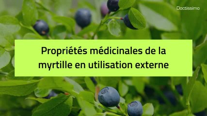 Phytothérapie - Myrtille