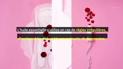 Phytothérapie - Anis vert