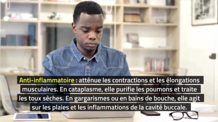 Phytothérapie - Consoude