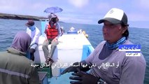 صيد أسماك القرش وسباق مع السلاحف للحفاظ على الأنواع الرمزية في جزر غالاباغوس