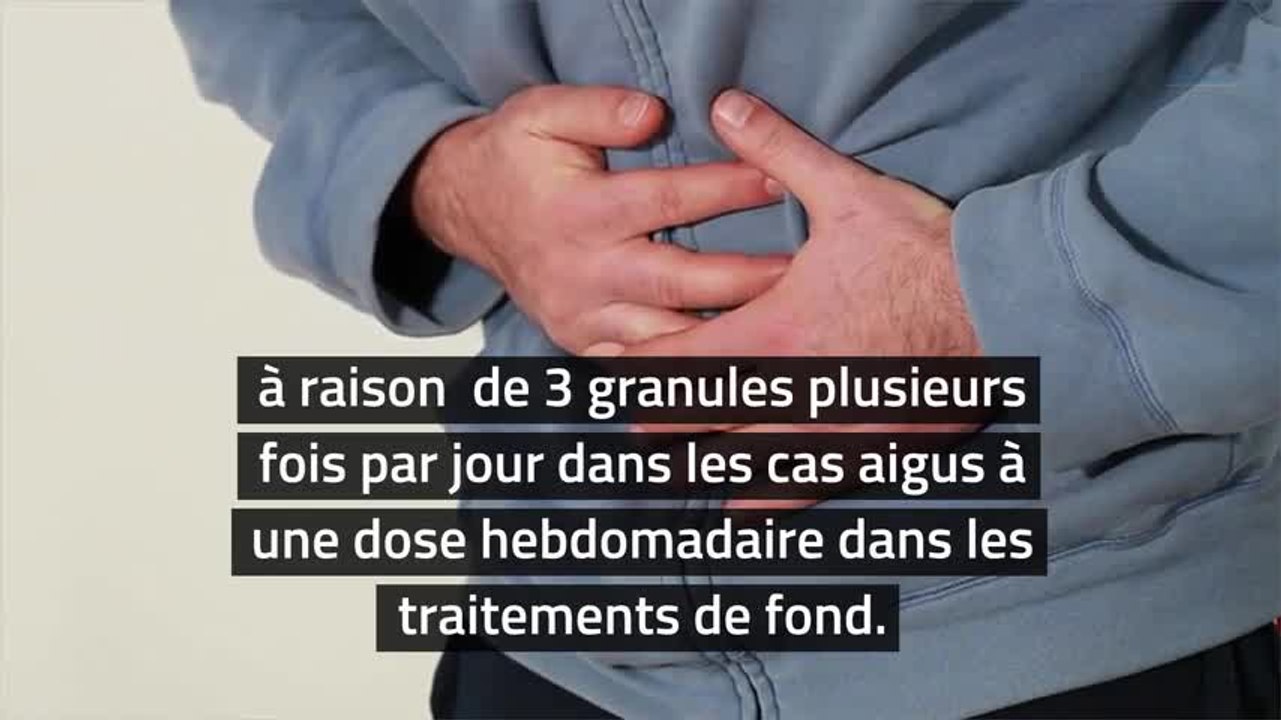 Homeopathie Lycopodium Clavatum Video Dailymotion