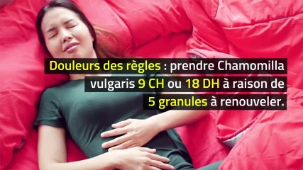 Homéopathie - Chamomilla vulgaris