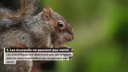 5 infos insolites sur les animaux