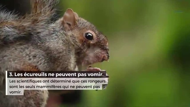 5 infos insolites sur les animaux