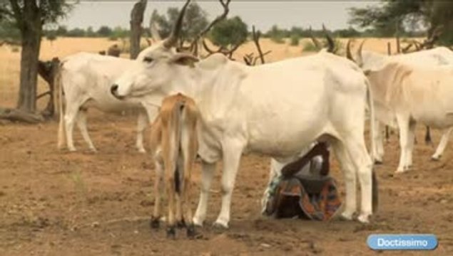 Artisans du changement ou le bon sens appliqué au développement durable