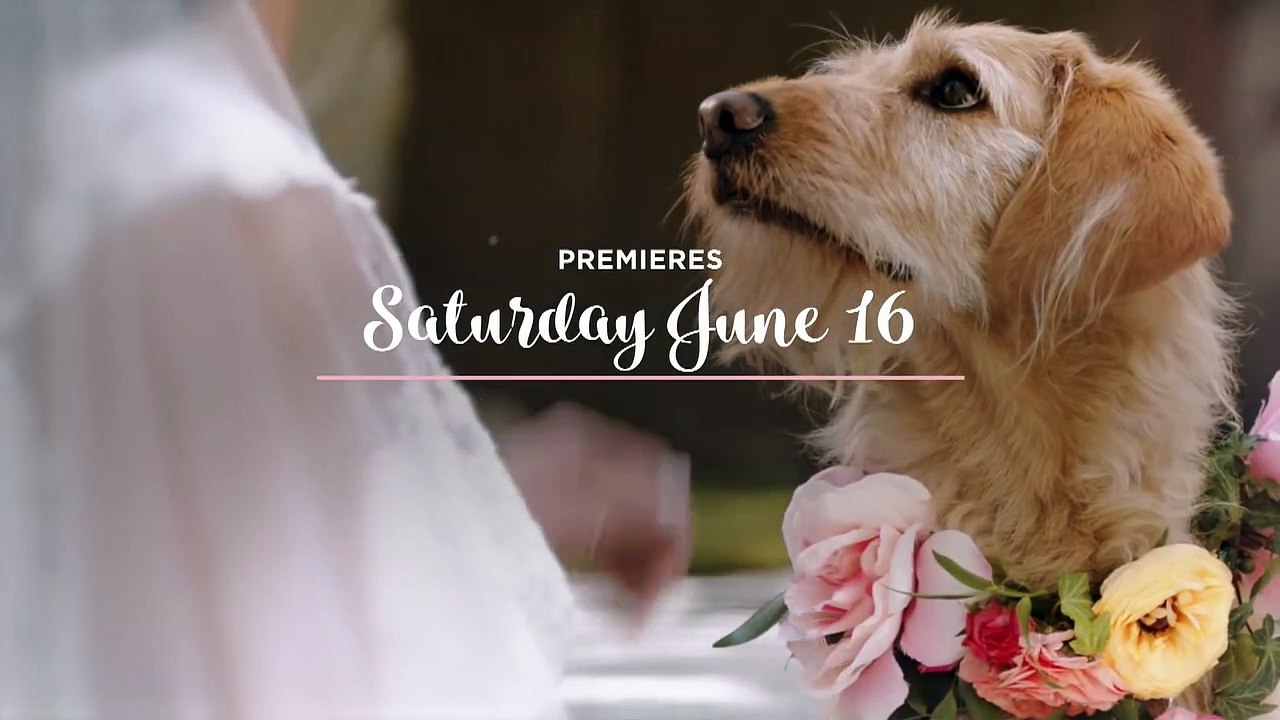 Love at First Dance - Trailer