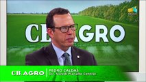 CB.AGRO: Pedro Caldas, diretor do Sicredi Planalto Central - 28/05