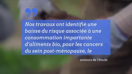 L’alimentation bio réduit de 25 % les risques de cancer