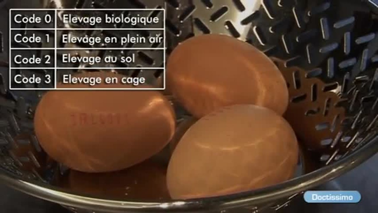 Bien choisir ses oeufs