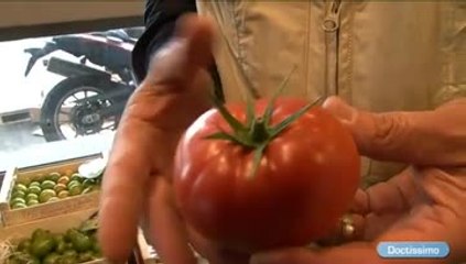 Tomate : autant de variétés que de goût à découvrir