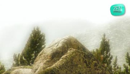 Zen Attitude : le plexus solaire