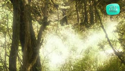 Zen Attitude : Apprendre à se passer d'une cigarette