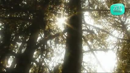 Trouver son guide intérieur