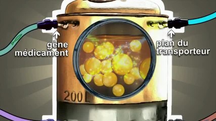 Bioproduction des vecteurs de thérapie génique