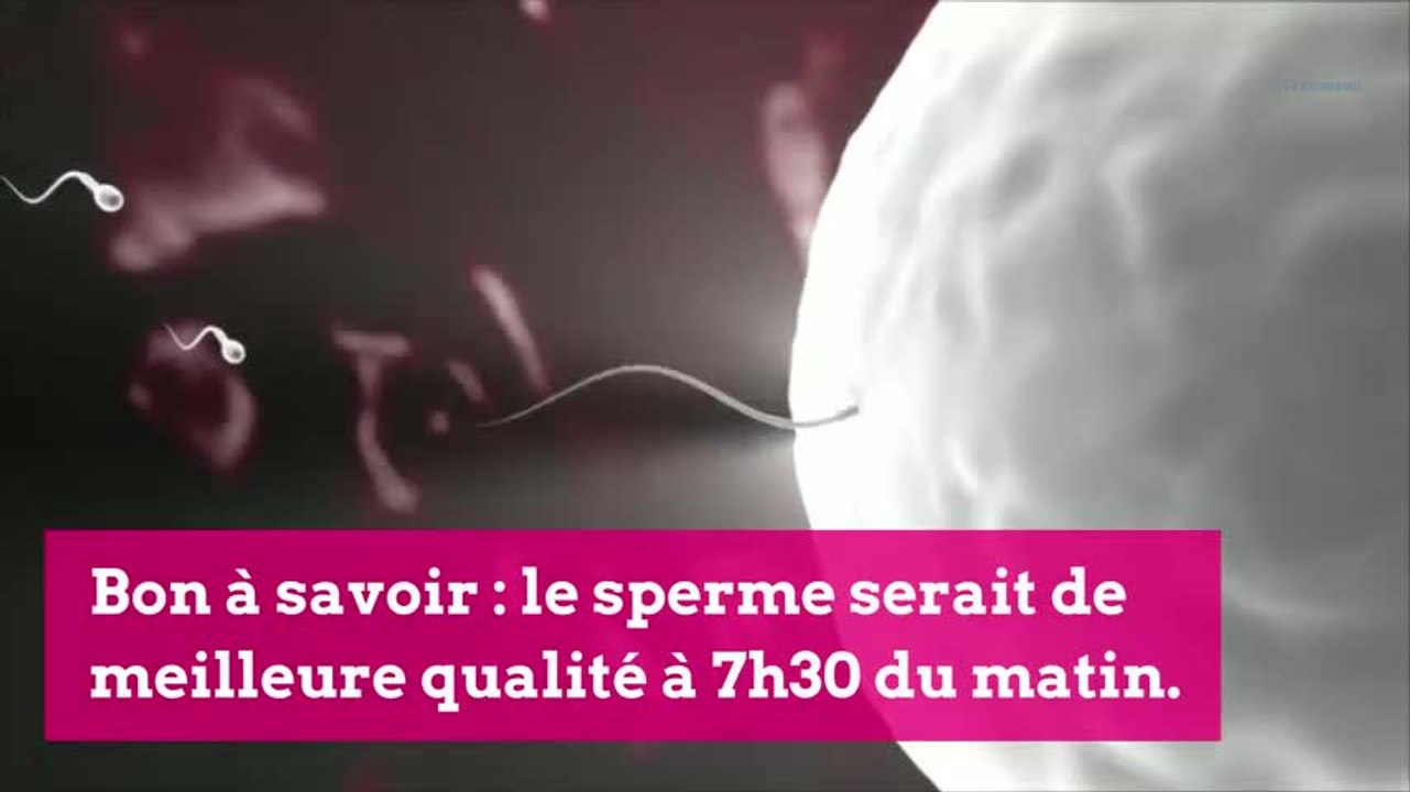 Quel est le meilleur moment pour tomber enceinte