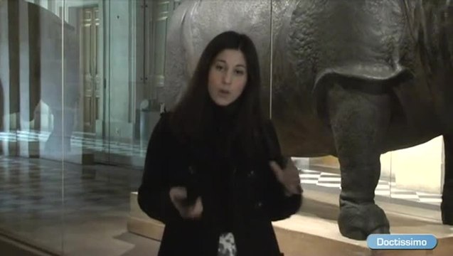L’exposition Sciences et curiosités à la cour des Versailles