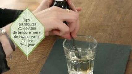 Phytothérapie – Comment utiliser la lavande