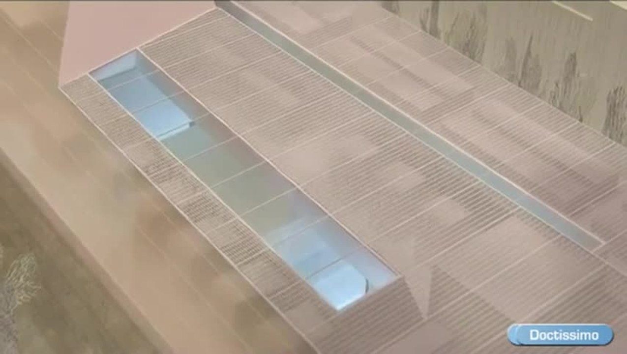 L’Institut Imagine, l’excellence au service des patients