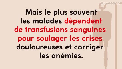 Témoignage : Comment les dons de sang m’ont sauvé la vie