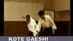 Aikido techniques en Tachi Waza
