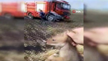 Manisa’da korkutan anız yangını