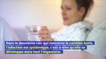 Candida Auris : un champignon qui inquiète