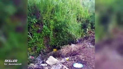 Jackson State  Vs Alabama A&M  Live | Swac College Football April 10,2021