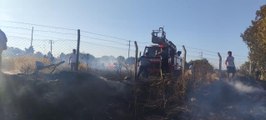 Son dakika haberi! Muğla'da buğday ekili tarlada çıkan yangında 17 dönüm alan zarar gördü