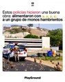 Estos policías alimentaron con bananas a un grupo de monos hambrientos