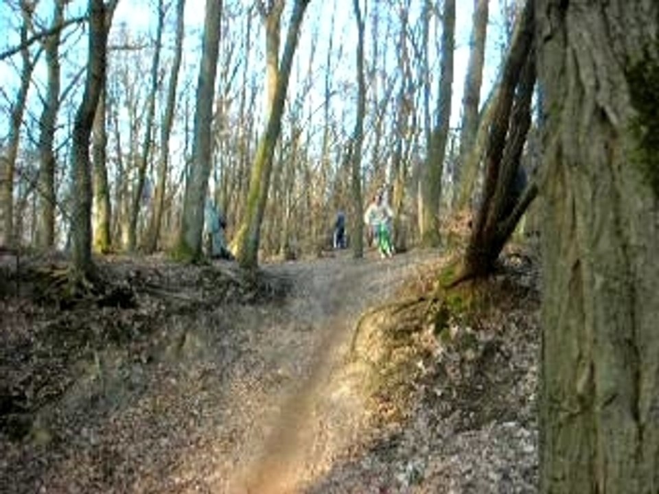 vtt