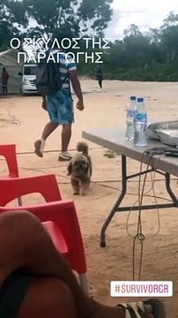 Survivor: Ο Γιώργος Λιανός επέστρεψε στον Άγιο Δομίνικο και δεν πάει ο νους σας ποιος τον υποδέχτηκε