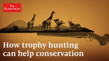 Trophy hunting: how it can protect Africa's wildlife