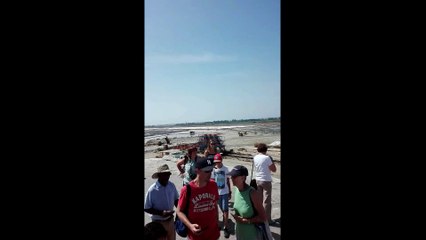 LE 28 AOUT 2017 SITE LA BALEINE A AIGUES MORTES