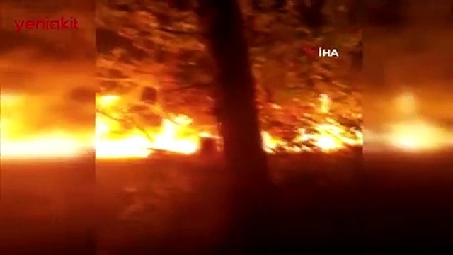 Adana'nın Kozan ilçesinde korkutan yangın!