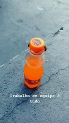 شاهد: نحلتان تعملان معًا لفتح زجاجة