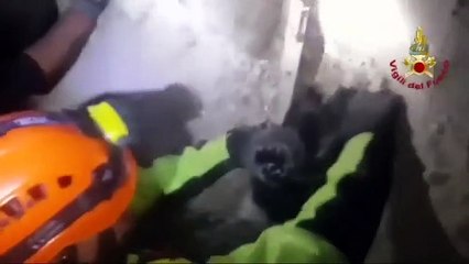 Köpek 35 saat sonra enkazdan sağ çıkarıldı